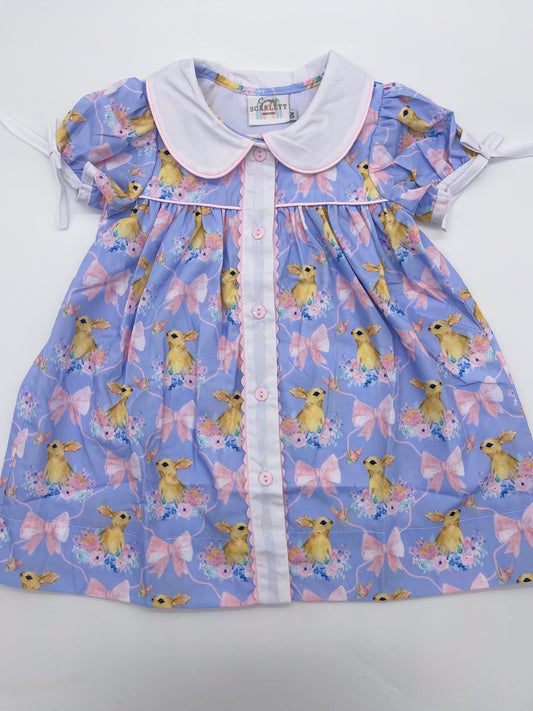 Peter Rabbit Girls Dress